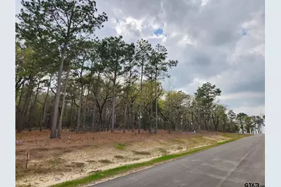 3281 Shadow Pine Dr (Lot 64 & L5), LaRue, TX 75770 - Photo 4