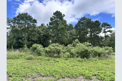 3156 Shadow Pine Dr., LaRue, TX 75770 - Photo 2