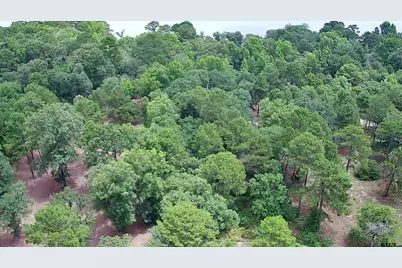 3156 Shadow Pine Dr., LaRue, TX 75770 - Photo 8