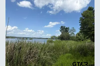 3196 Shadow Pine Dr, LaRue, TX 75770 - Photo 4