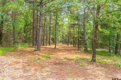 16092 County Road 440, Lindale, TX 75771 - Photo 24