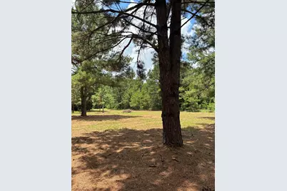 23655 Cr 244, Overton, TX 75684 - Photo 10