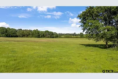 335 County Road 4802 & Hwy 110, Troup, TX 75789 - Photo 12