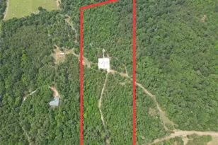 Tbd 16 +/- Ac Vz County Road 4814, Ben Wheeler, TX 75754 - Photo 1