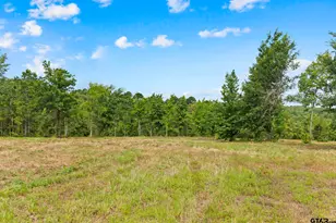 Tbd County Road 4112 Lot 2, Lindale, TX 75771 - Photo 1