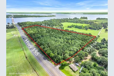 0 Hwy 155, Frankston, TX 75763 - Photo 2