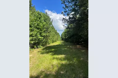 Tbd S Cr 218D, Henderson, TX 75652 - Photo 10