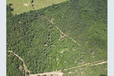 Tbd 35+/- Ac Vz County Road 4814, Ben Wheeler, TX 75754 - Photo 2