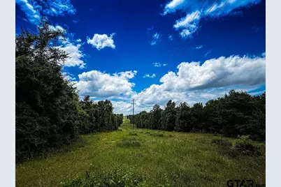599 Jones Farm Rd, Avinger, TX 75630 - Photo 8