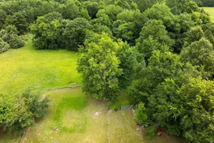 519 An County Road 45, Palestine, TX 75803 - Photo 42