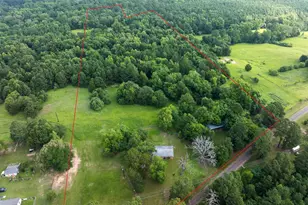 519 An County Road 45, Palestine, TX 75803 - Photo 1