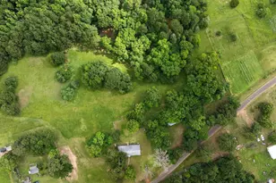519 An County Road 45, Palestine, TX 75803 - Photo 44