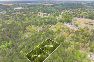 Lots 312 & 311 0 Private Road 7119, Frankston, TX 75763 - Photo 1