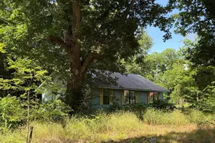 141 Cr 2131, Maydelle, TX 75772 - Photo 12