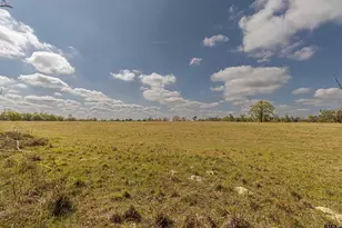 11810 County Rd 3101, Winona, TX 75792 - Photo 1
