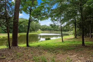 1033 County Rd 4220, Mount Pleasant, TX 75455 - Photo 26