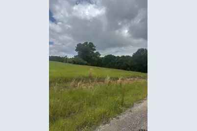 Tbd Belles Lane, Brownsboro, TX 75756 - Photo 1