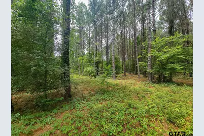 21135 Fm 1252, Winona, TX 75706 - Photo 22