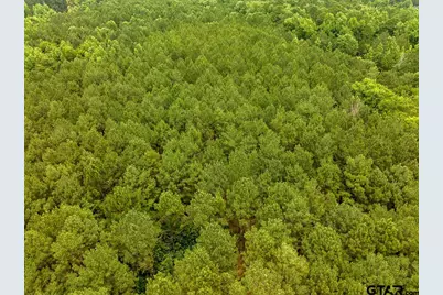 21135 Fm 1252, Winona, TX 75706 - Photo 16
