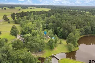 4233 Fm 2137, Bullard, TX 75757 - Photo 4