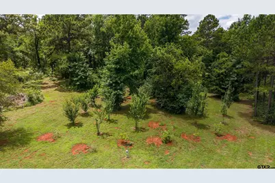 1100 County Road 3602, Bullard, TX 75757 - Photo 42