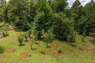 1100 Co Rd 3602, Bullard, TX 75757 - Photo 42