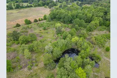 401 County Road 3114, Quitman, TX 75783 - Photo 10