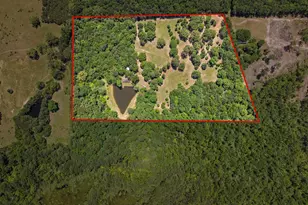 4469 Co Rd 1579, Avinger, TX 75630 - Photo 48