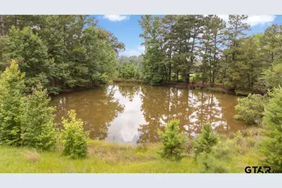 21675 Highway 110 N, Troup, TX 75789 - Photo 46