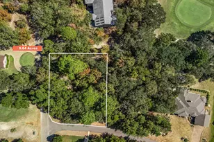 Tbd Golfing Green Cove, Holly Lake Ranch, TX 75765 - Photo 1
