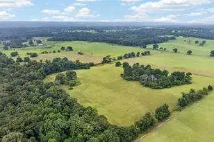 935 An County Rd 3051, Frankston, TX 75763 - Photo 1