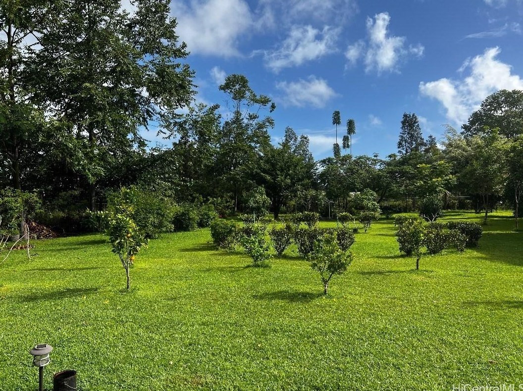 15-1729 7th Ave, Keaau, HI 96749