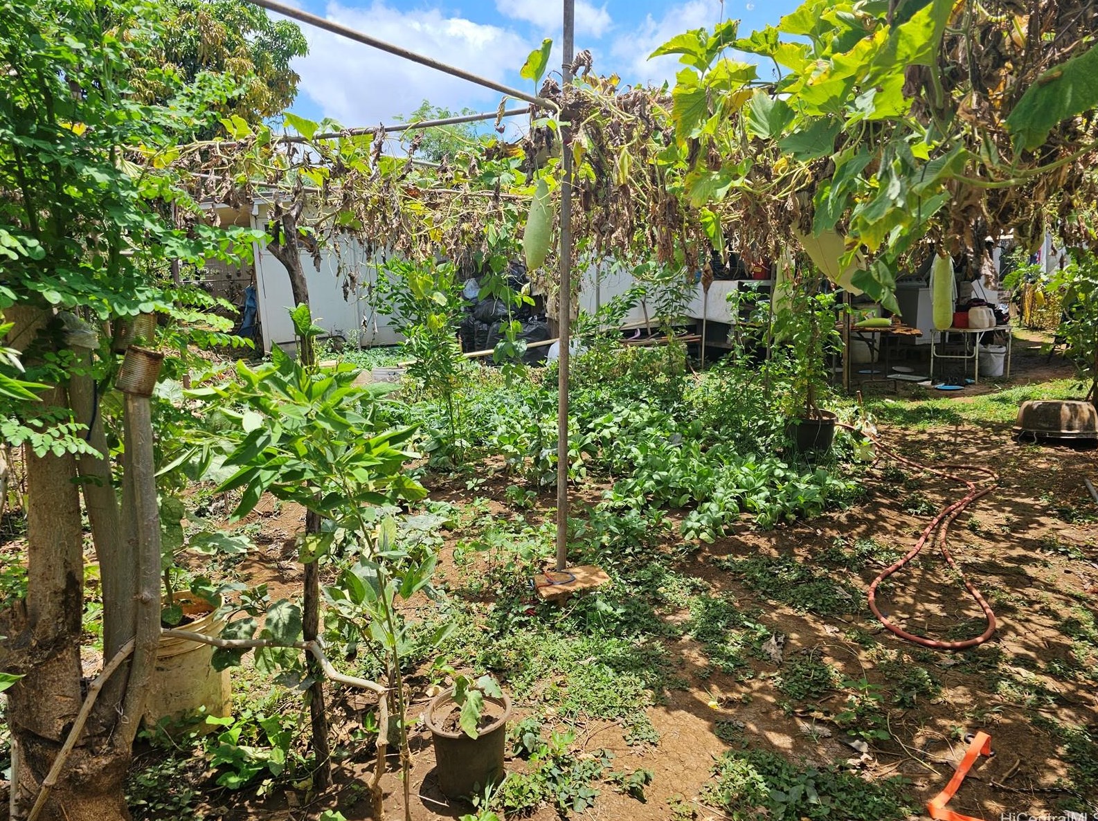 94-112 Hula St, Waipahu, HI 96797