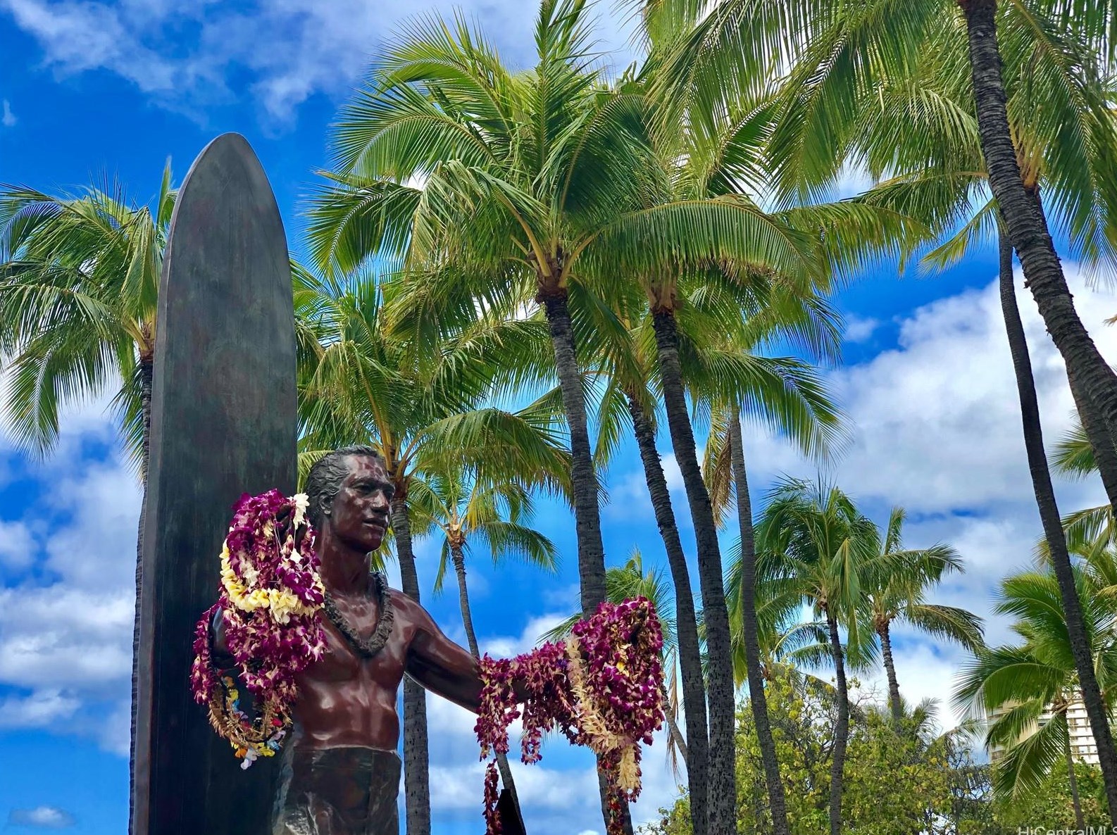 444 Nahua St, Honolulu HI  96815-5036 exterior