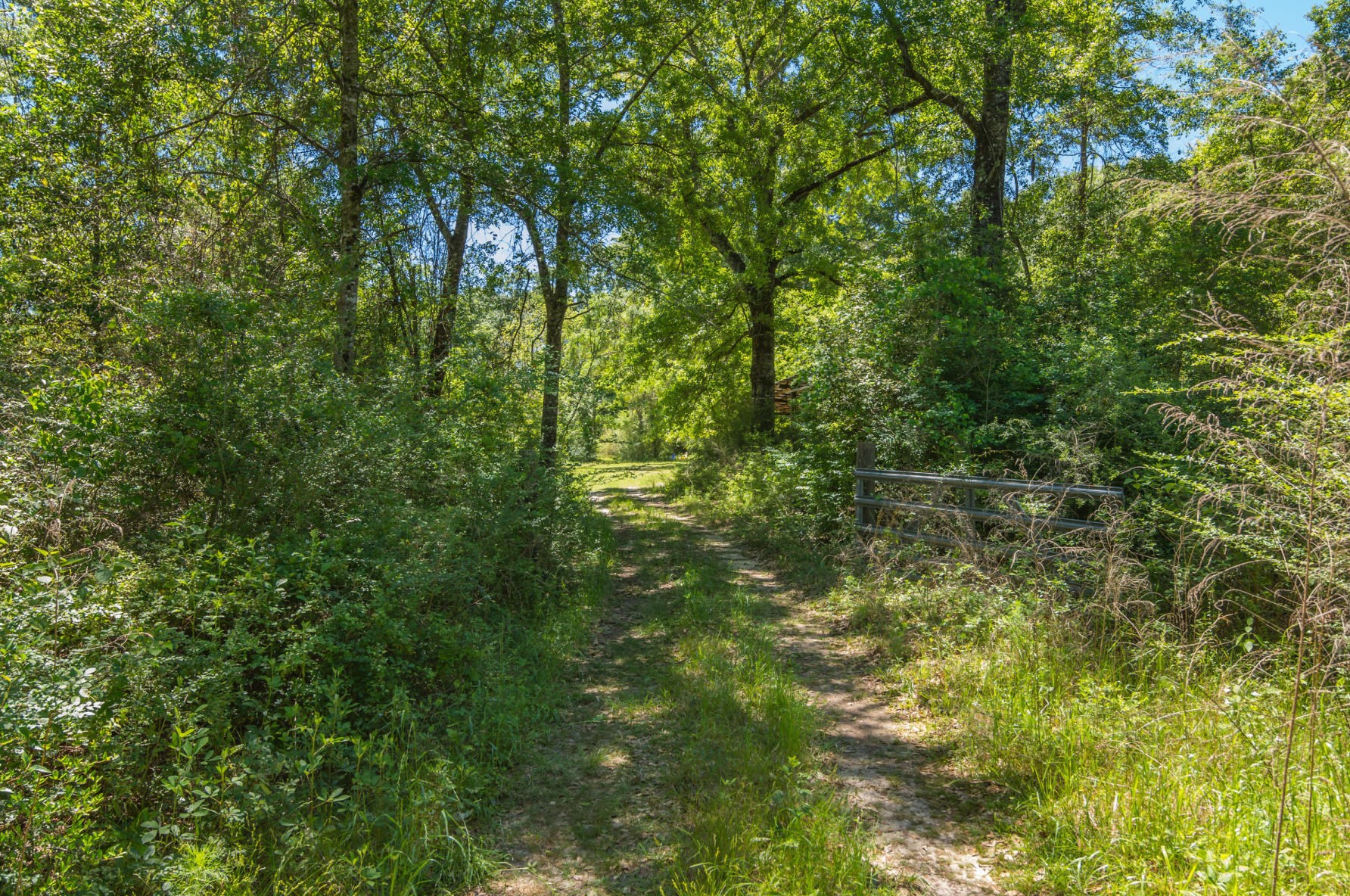 2681 Lake Silver Rd, Crestview, FL 32536-9351