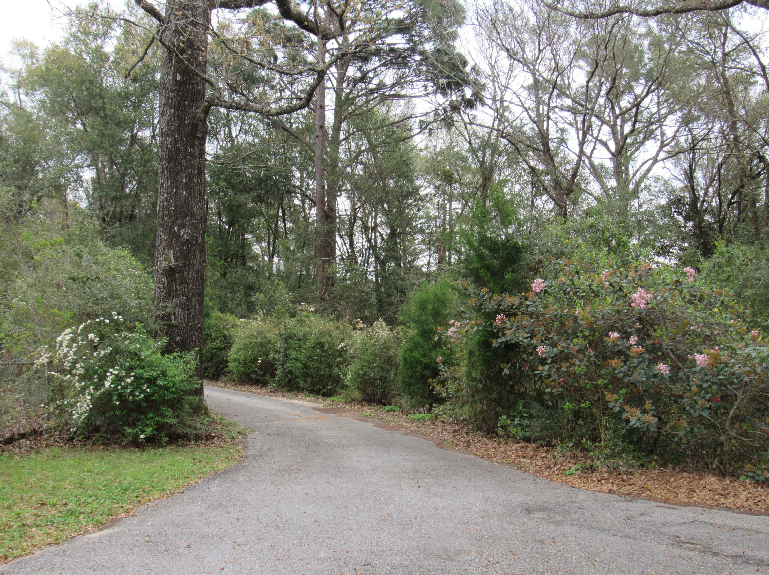 9 Russell Rd, Defuniak Springs, FL 32433