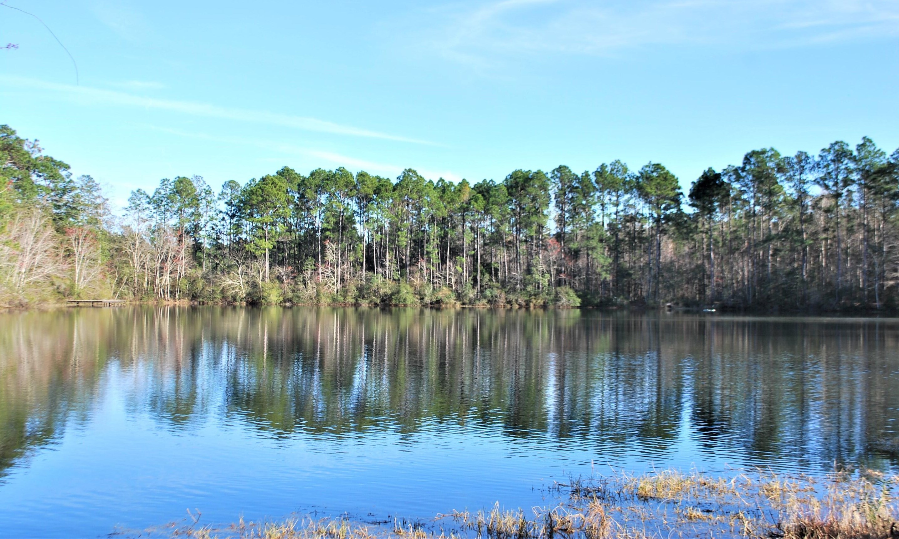 8 Ponce De Leon Rd, Crestview, FL 32539-5205