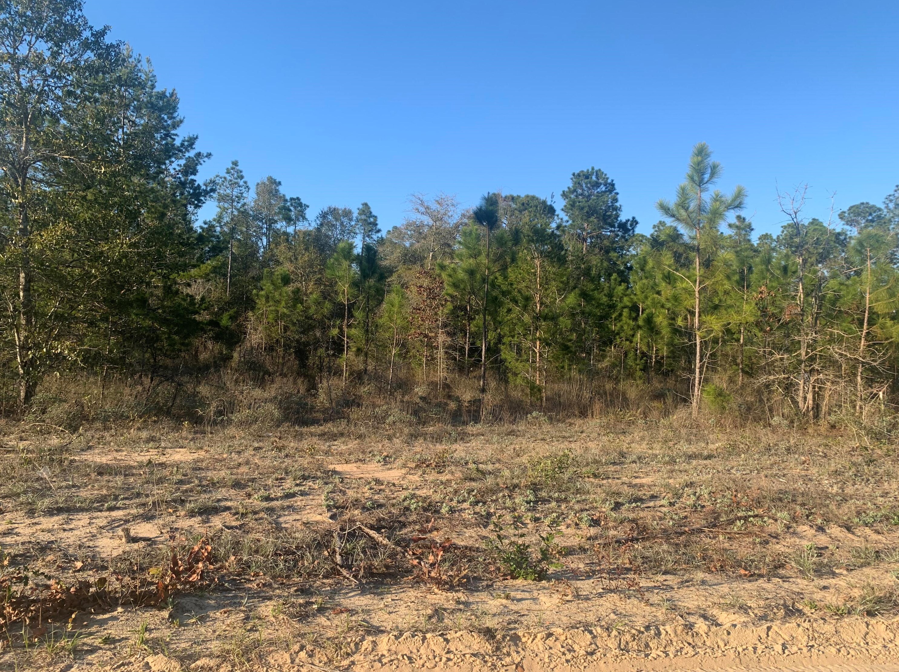 4621 Dove Way, Crestview, FL 32539-8784