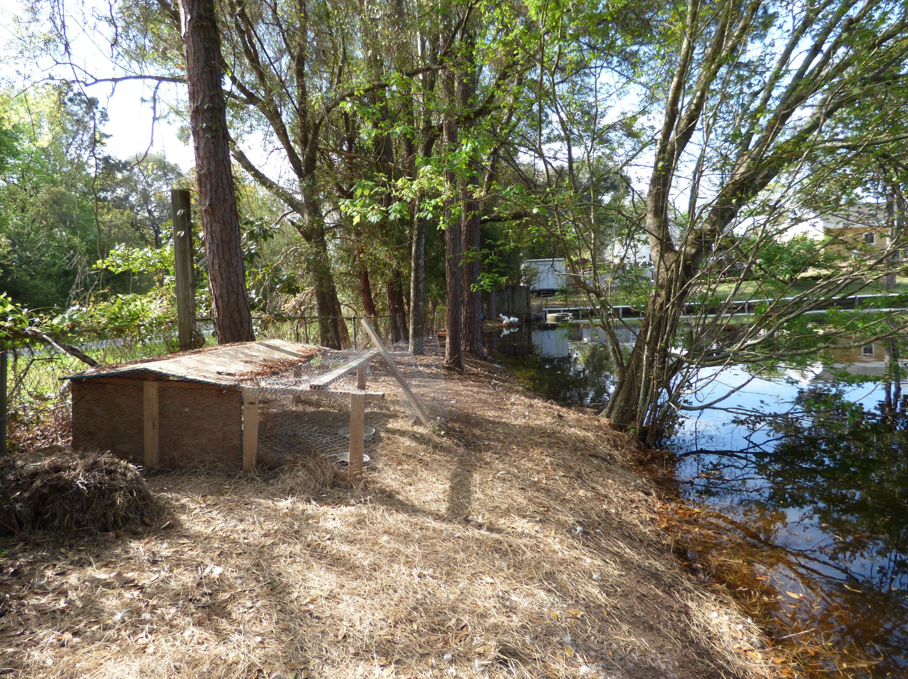 1824 Redwood Ave, Niceville FL  32578-3655 exterior