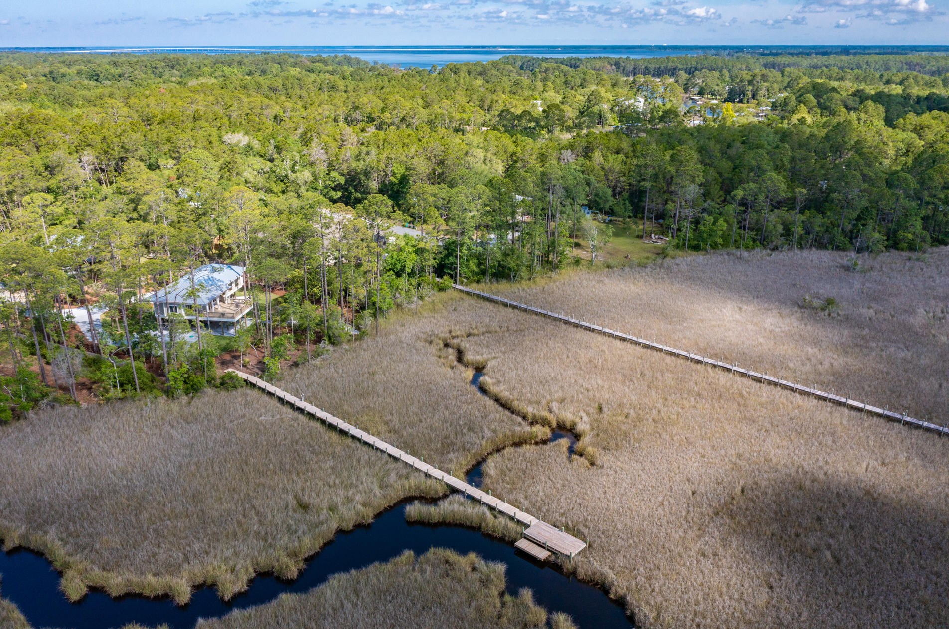 229 Apple Ct, Santa Rosa Beach, FL 32459-5977