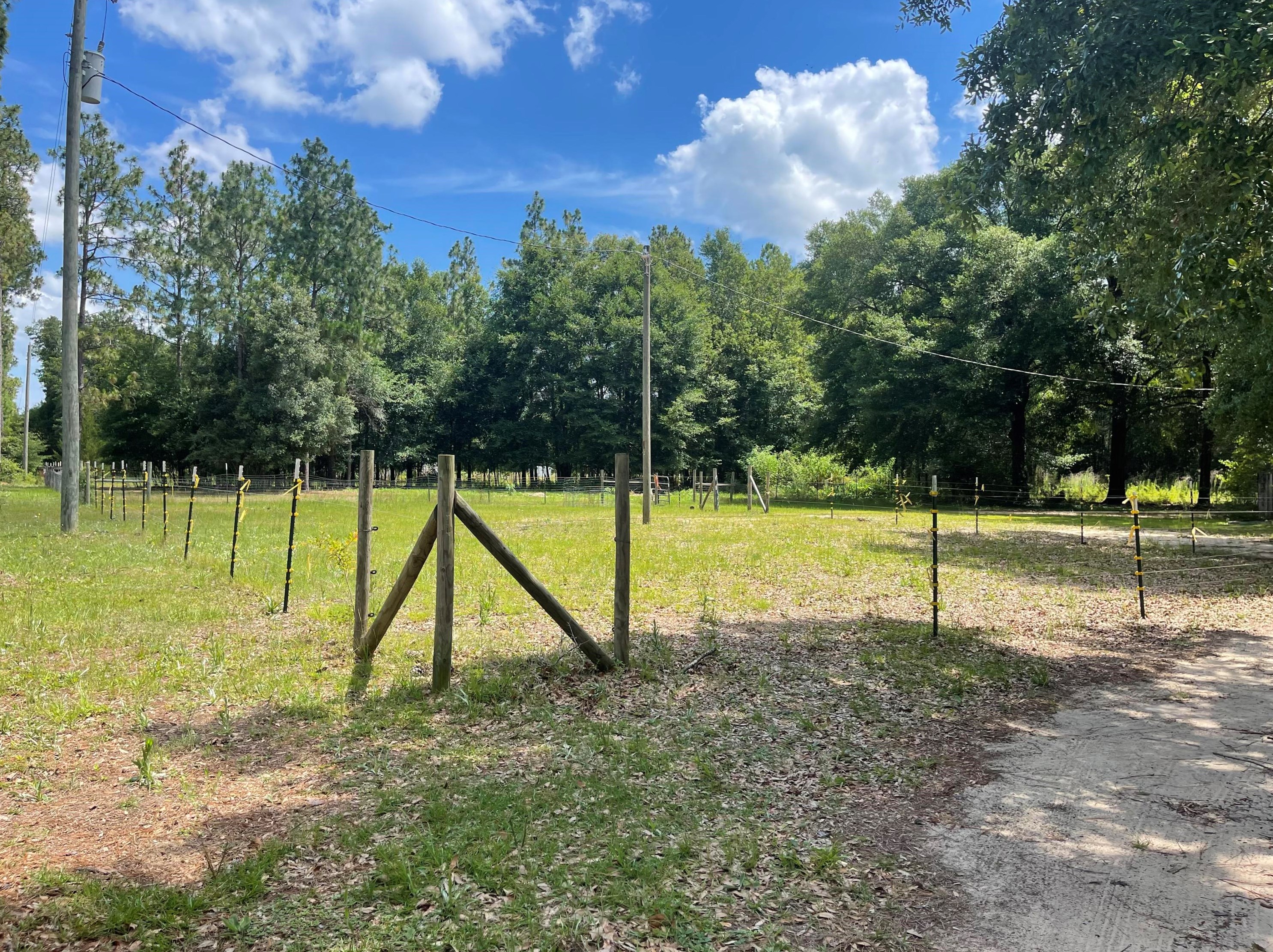 7250 N Leonard Barnes Rd, Holt, FL 32564