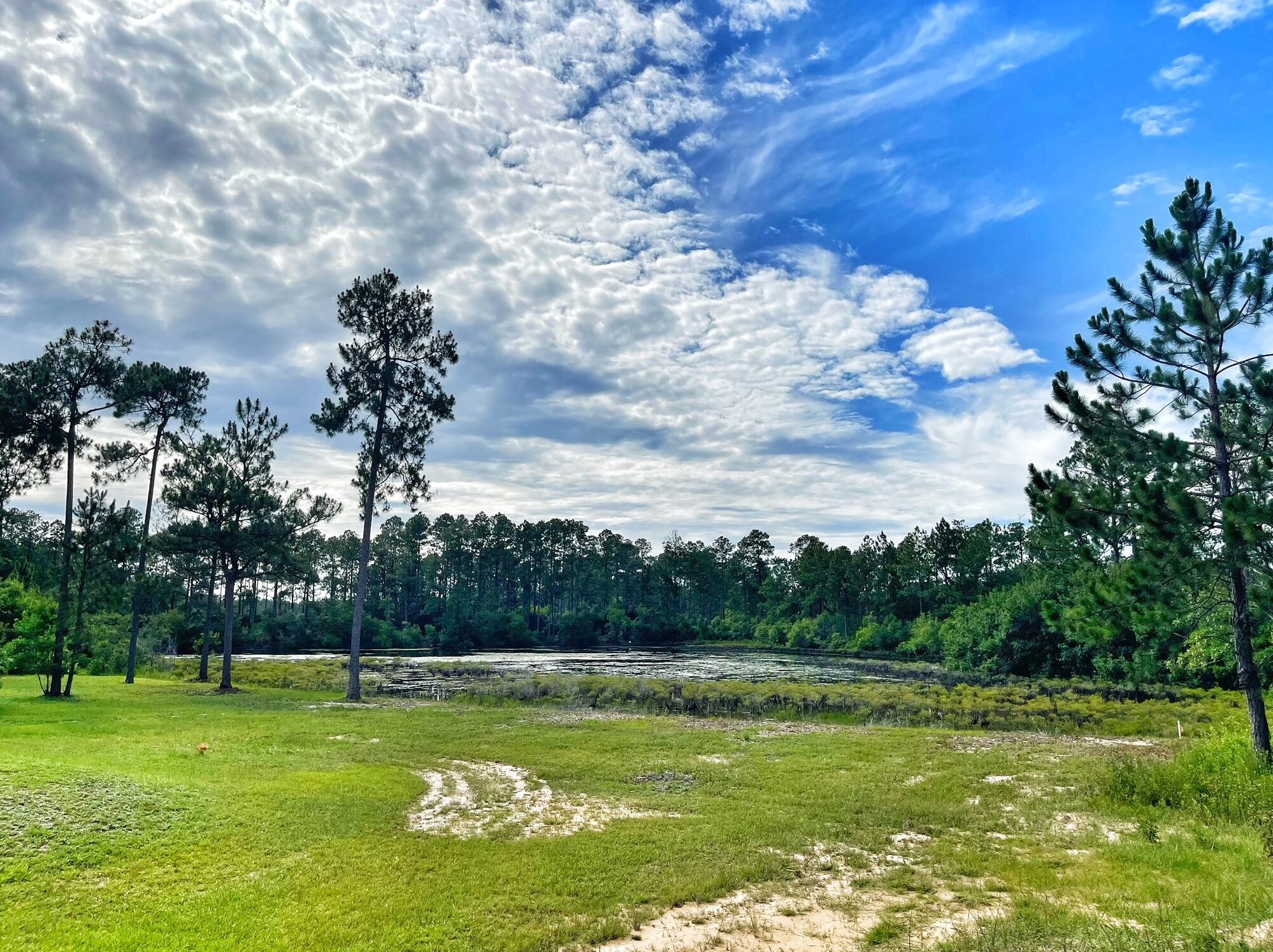 180 Lake Rosemary Ct, Defuniak Springs, FL 32433