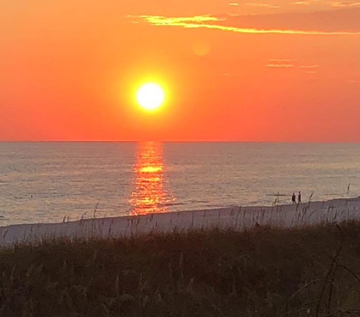 19512 Alta Vis Dr, Panama City FL 32413-3852 exterior