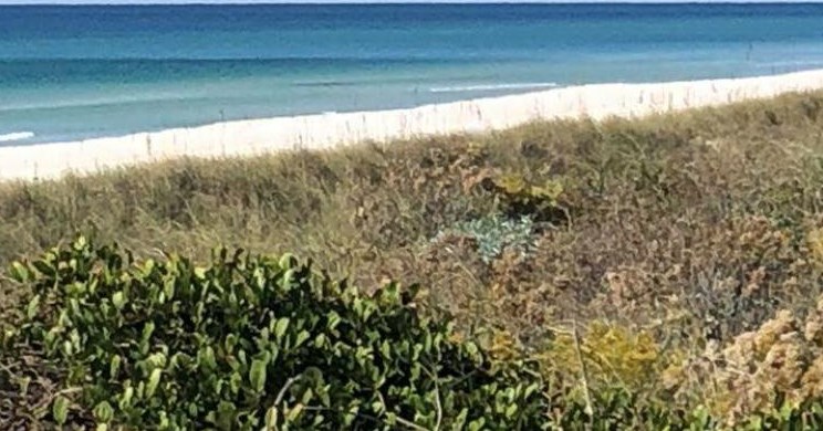 19512 Alta Vis Dr, Panama City FL 32413-3852 exterior