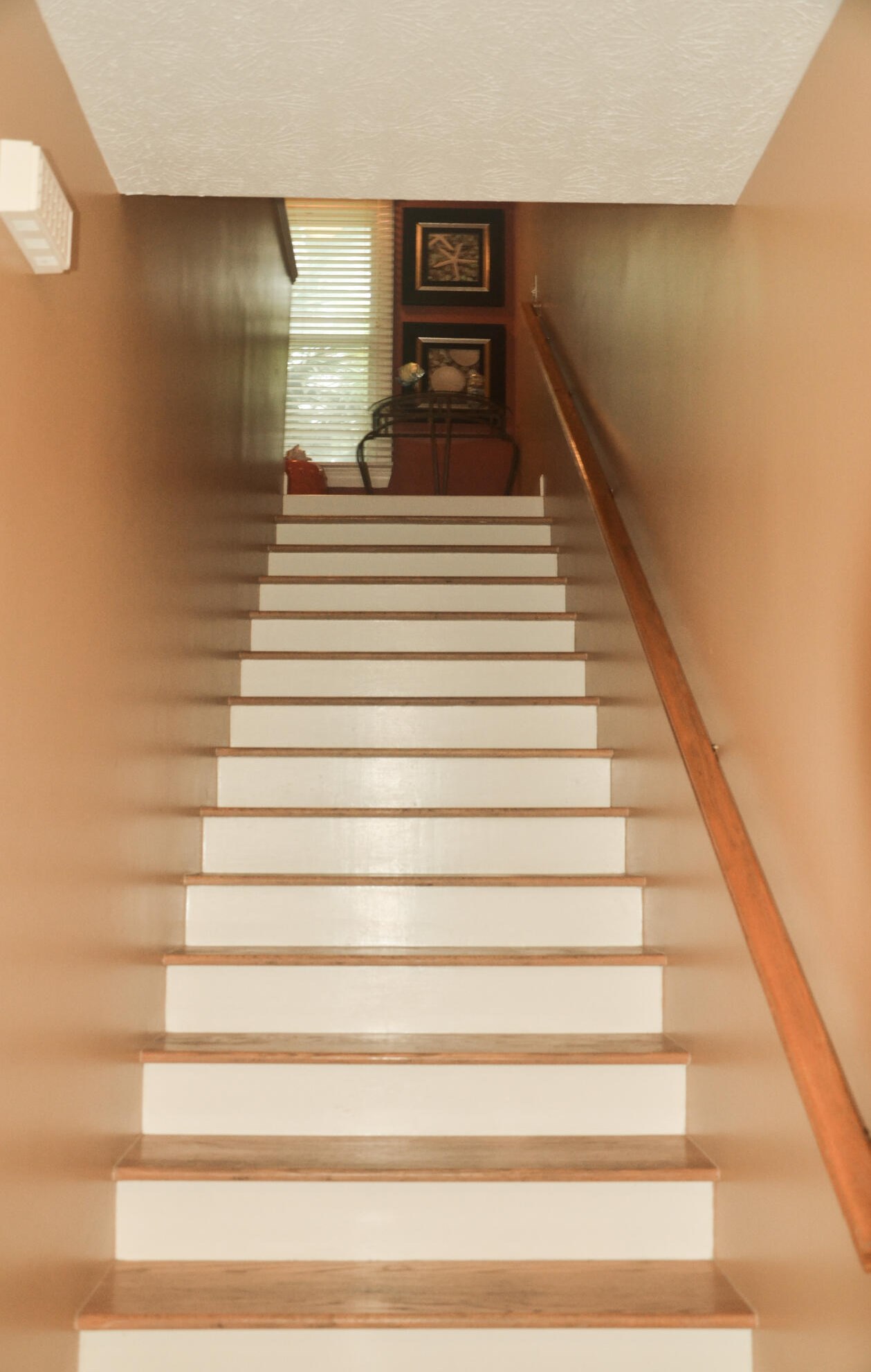 105 Bonita Cir, Panama City FL  32408-4631 exterior