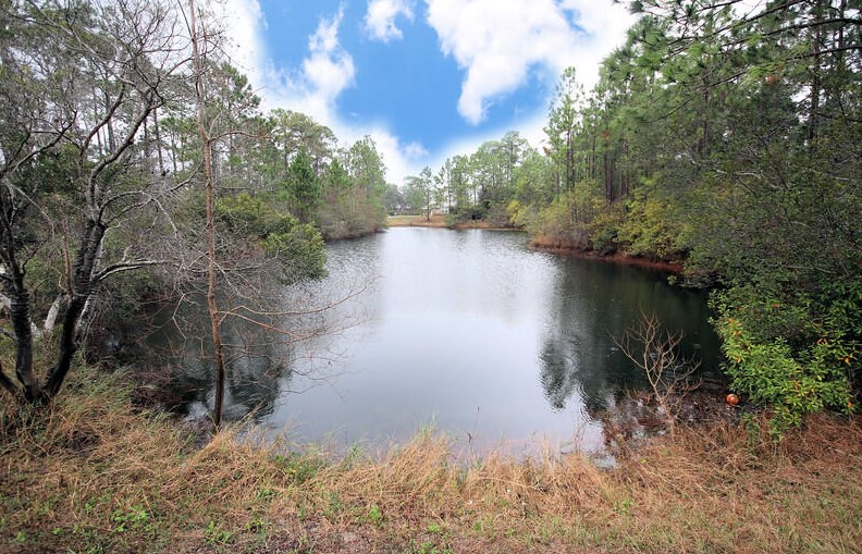 1002 Freeport Ct, Mary Esther, FL 32569-3453