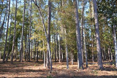 Tbd Us-331 Business, Freeport, FL 32439 - Photo 1