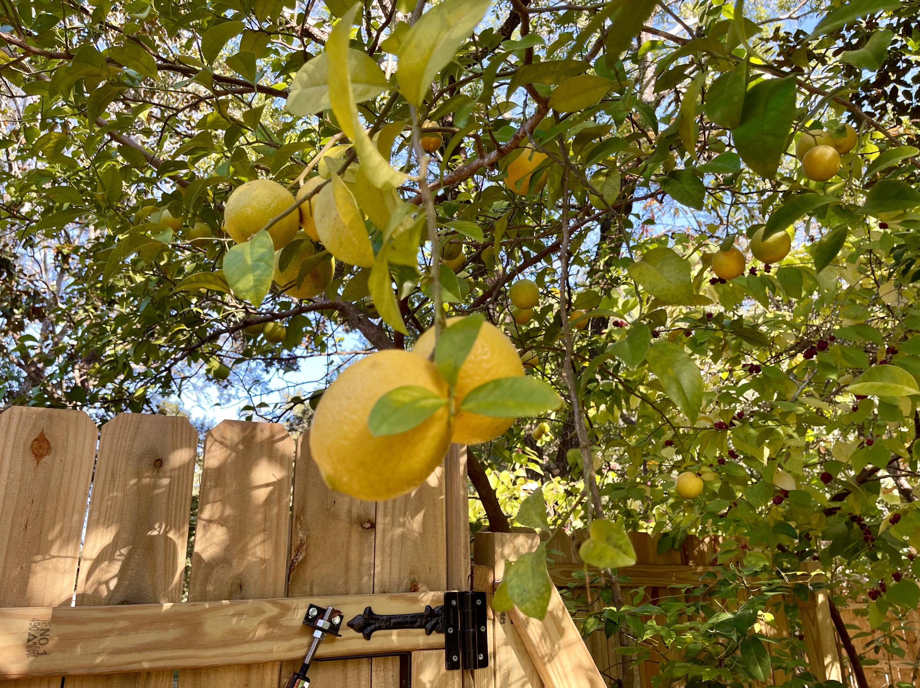 821 Weeden Island Dr, Niceville FL  32578-3724 exterior