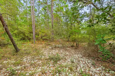 000 County Hwy 83A W, Freeport, FL 32439 - Photo 6