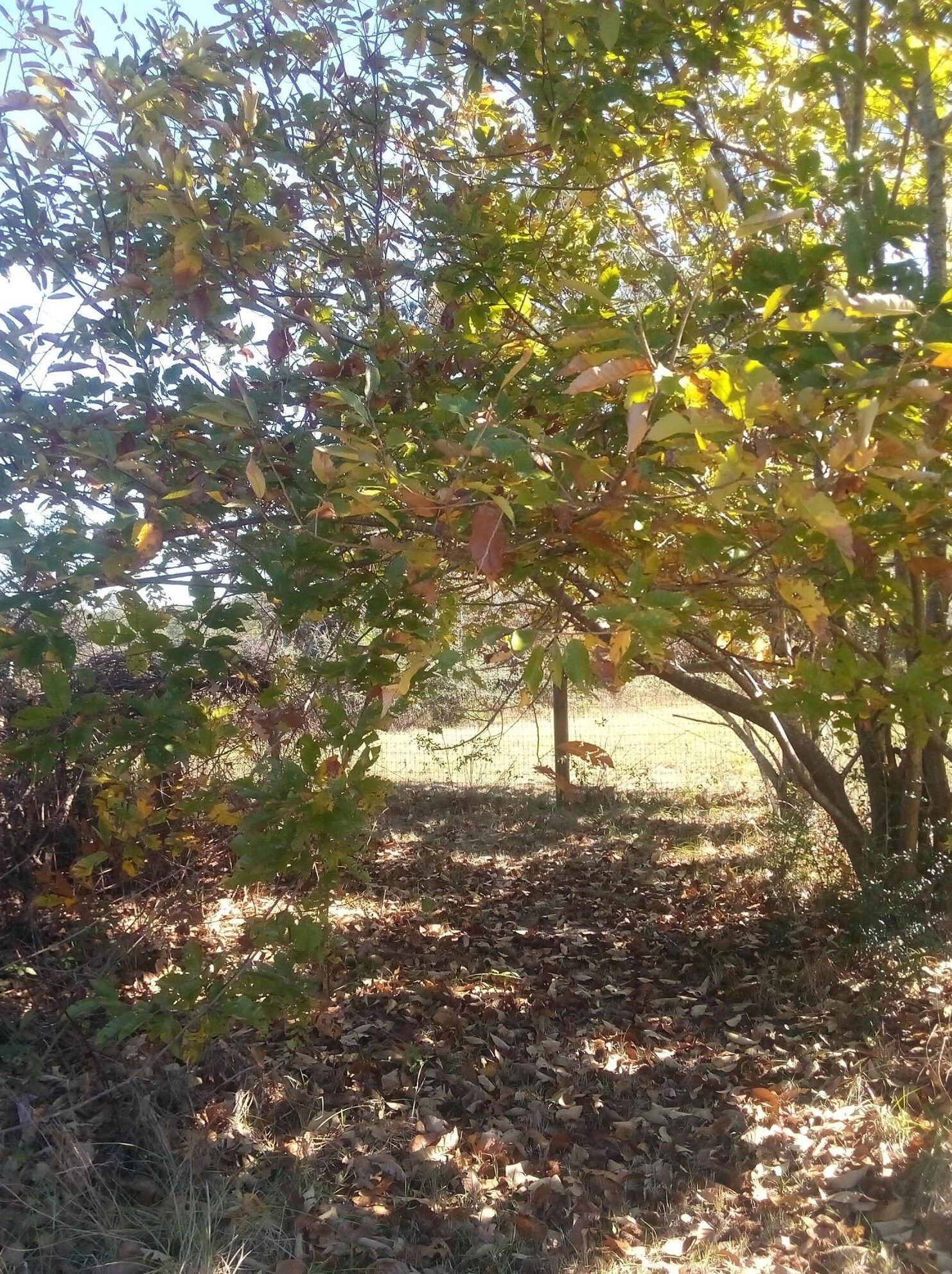 7363 Beaver Creek Rd, Crestview FL  32531-7027 exterior